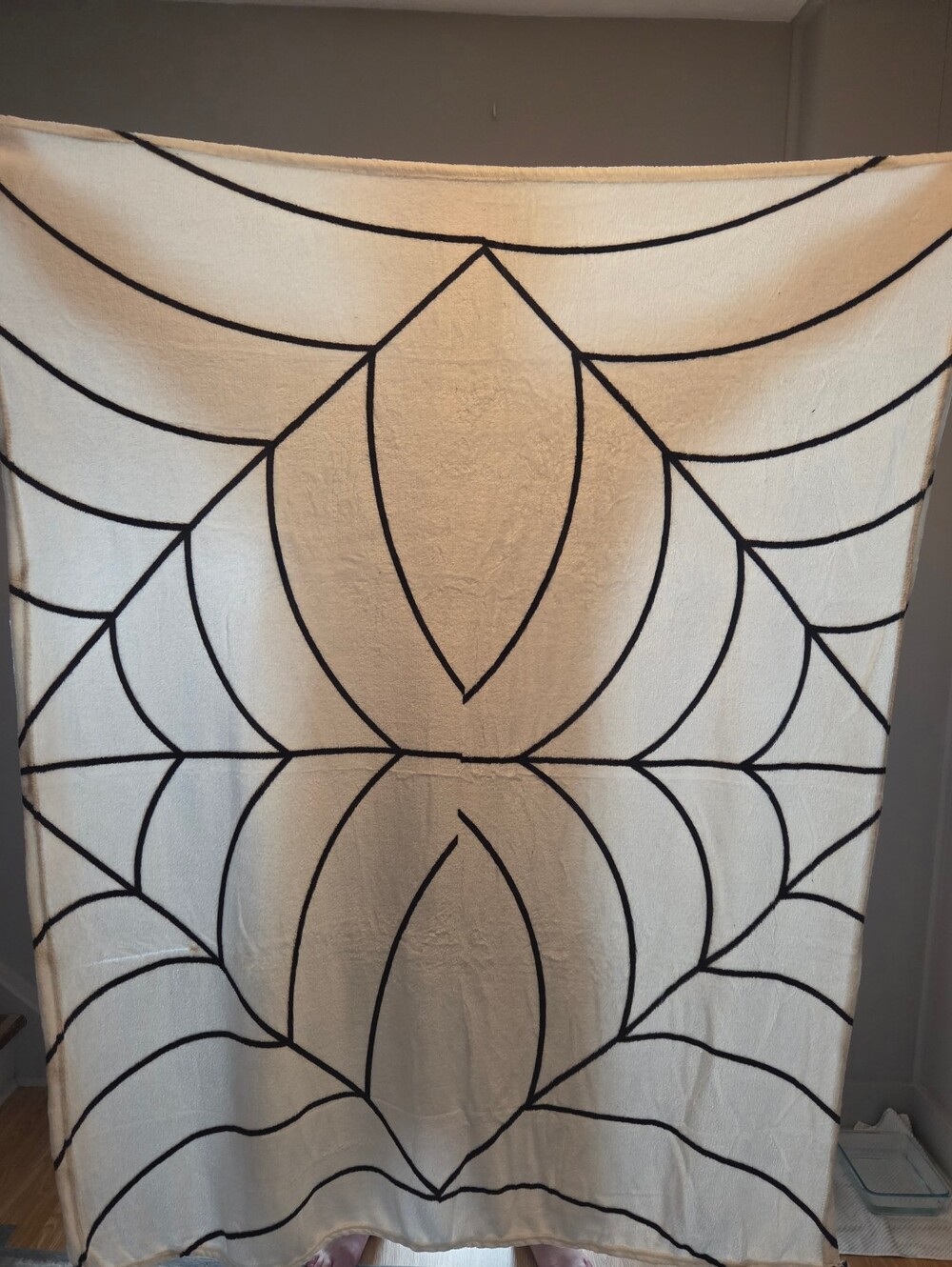 Black & White Spider Web Super Soft Plush Throw Blanket Halloween